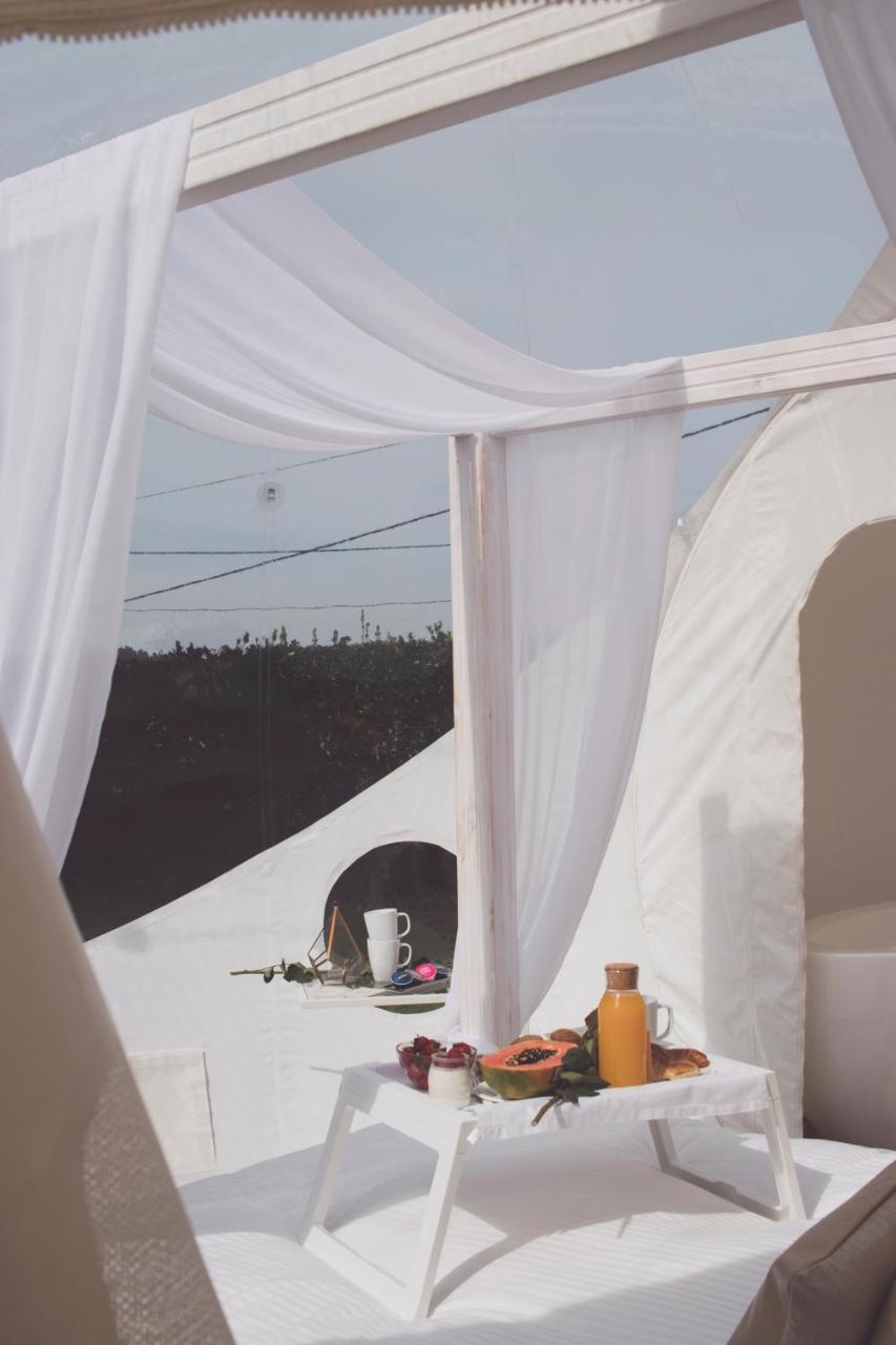 Albarari Hotel Dorneda Kültér fotó